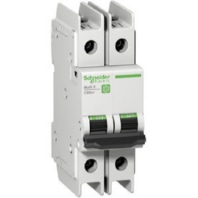 Miniature circuit breaker 2-p C2A M9F42202