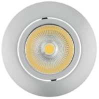 Downlight/spot/floodlight 1x8W 1856756123