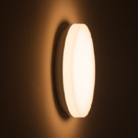 Ceiling-/wall luminaire 4932-199120