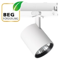 Downlight/spot/floodlight TS250102