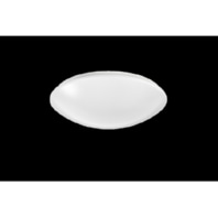 Ceiling-/wall luminaire LED exchangeable RUFO2360DAWS830H0250