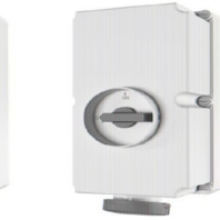 Wall socket DUO 125A,3p,6h,230V,IP67, 7000