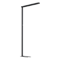 Floor lamp LED not exchangeable black BSL500940