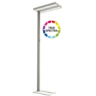Floor lamp 1x60W LED exchangeable silver 5227-155075