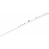LED-Leuchte 840 DALI LL523X LED 15038600