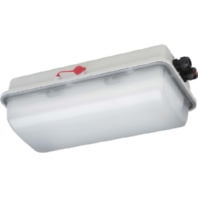 LED-Ex-Notleuchte IP66, SK I e856F L05/3/2,5