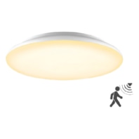 LED-Anbauleuchte mit Bewegungsmelder L40300125BM
