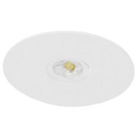 LED-Sicherheitsleuchte BREE15Z