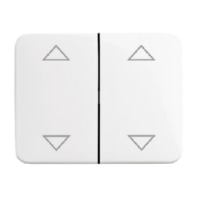 Cover plate for switch/push button 1785 JA/02-24G