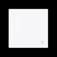 Cover plate for switch/push button 2520 LI-44G