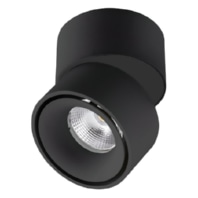 Wall and ceiling light, AS20090925