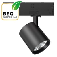 Downlight/spot/floodlight TS250902