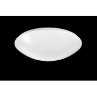 Ceiling-/wall luminaire LED exchangeable RUFO2460DAWS830H0350
