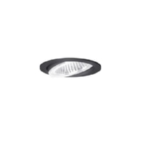 Downlight/spot/floodlight 1x15W FLIR 100.1030.35 sw