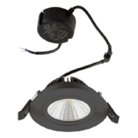 Downlight/spot/floodlight PS54060902