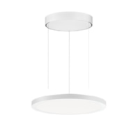 LED-Pendelleuchte 4000K, DALI 3123837