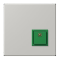 Switching device for handicapped people NRS LC 0834 AT205