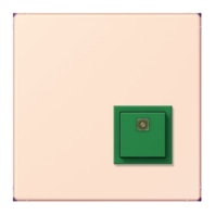 Switching device for handicapped people NRS LC 0834 AT226