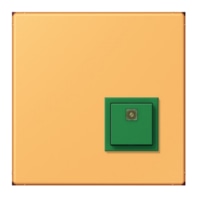 Switching device for handicapped people NRS LC 0834 AT254
