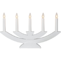 Festive lighting 220-05