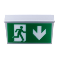 Sicherheitsleuchte Zigbee 3h SixtysixLZigbee3HHE.