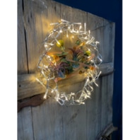 Festive lighting 577921