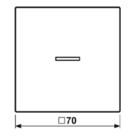 Cover plate for switch/push button LC 990 KO5218