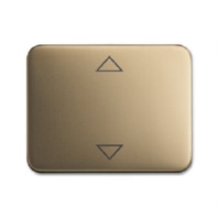 Cover plate for switch/push button 1786 JA/02-21