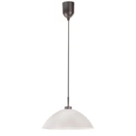 Pendant luminaire