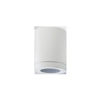 Downlight/spot/floodlight 1x35W