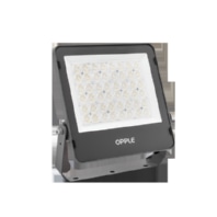Downlight/spot/floodlight LEDFlo 709000117100