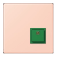 Switching device for handicapped people NRS LC 0834 AT234