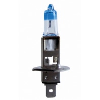 Vehicle lamp 1 filament(s) 12V P14.5s H1 81091