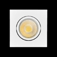 Downlight/spot/floodlight 1x8W 1856851033