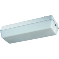 LED-Notleuchte 3h 131 L02/3 W MA