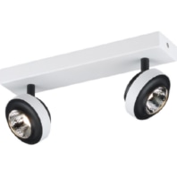 Downlight/spot/floodlight 2x5W 44453