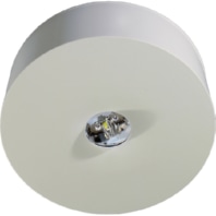 LED-Sicherheitsleuchte Decke, Linsensystem ILDL428WL