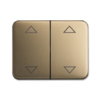 Cover plate for switch/push button 1785 JA/02-21