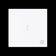 Cover plate for switch/push button 1789 ST-44G