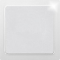 Cover plate for switch/push button BLA55E-pm