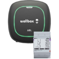 Charging device E-Mobility 1 outlet(s) 100000499