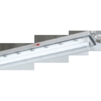 LED-Wannenleuchte f�r Au�en, IP66, SK I, 144 12L60 AUS