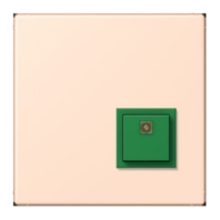 Switching device for handicapped people NRS LC 0834 AT228