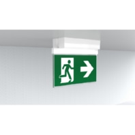 Rettungszeichenleuchte ZB GAMD009ML