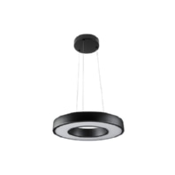 Pendant luminaire 1x19W LED exchangeable 214005