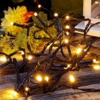 Festive lighting 579451