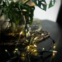 Festive lighting 579536