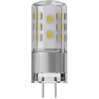 LED-Stiftsockellampe RLPIN35DIM827CGY6.35