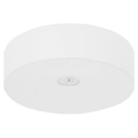 LED-Sicherheitsleuchte EB 3h AXD315SC.V2