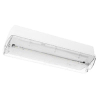 LED-Sicherheitsleuchte HAUE30Z